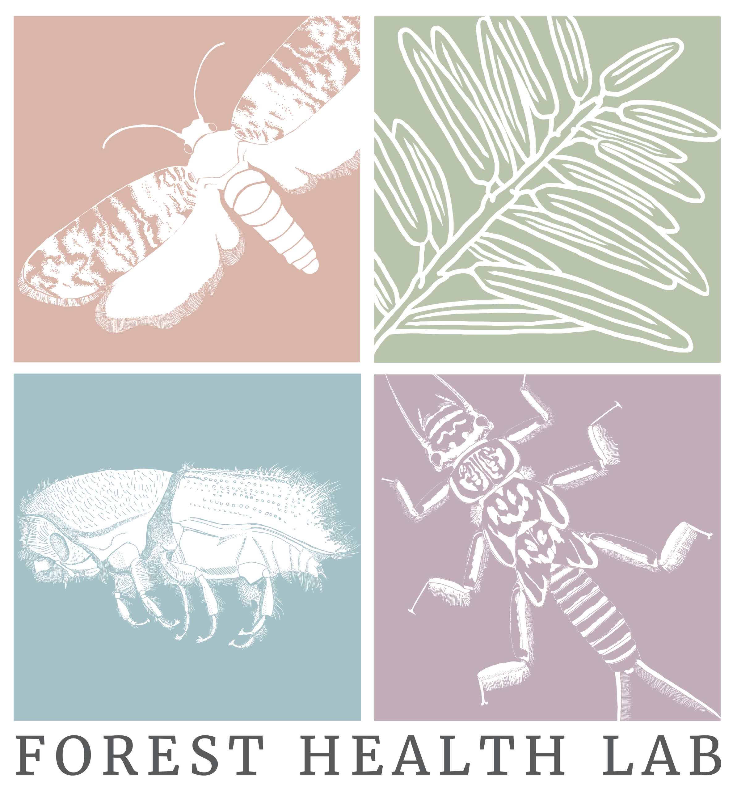 UGA Forest Health Lab logo, which links to the lab's website.