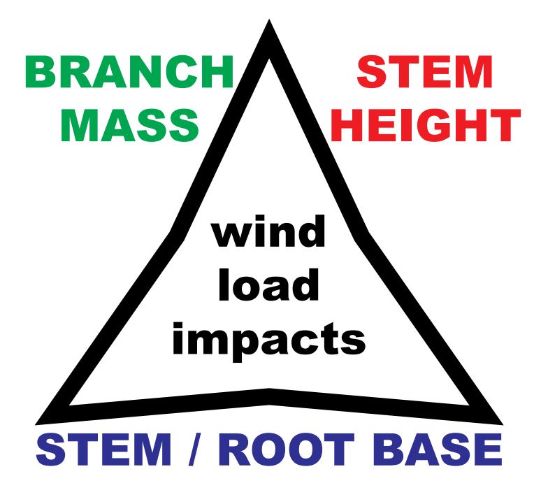 Graphic depicting wind load impacts. The graphic shows a black triangle: on the right side is "Stem Height" in red text, on the left side is "Branch Mass" in green text, and along the bottom is "Stem/Root Base" in blue text.
